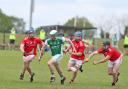Fermanagh's Sean Corrigan drives forward with Louth players closing in.