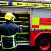 More than 1,000 pigs die in blaze at Tyrone farm