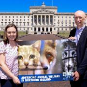 Last week [Thursday June 23] marked the official reconstitution meeting of the All Party Group (APG) on Animal Welfare – a cross-party platform dedicated to the advancement of animal welfare in Northern Ireland. Pictured is DUP MLA Deborah Erskine