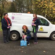 Lilli, a rescue dog, is pictured with Veronica Gamble (Fermanagh and Omagh District Council Enforcement Officer, Dog Control); Janice Porter (volunteer at Grovehill Animal Trust), and Lynn Millar (Council Enforcement Officer, Dog Control).
