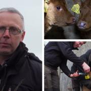 ‘Rare Breed – A Farming Year’ continues on Thursday night at 8.30pm on UTV and the Egertons from Rosslea appear in this episode.