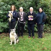 Pictured left to right: Lynn Millar (FODC Enforcement Officer - Dog Control); Councillor Barry McElduff (Chair of Fermanagh and Omagh District Council); Clement Kennedy (FPDC Principal Officer - Animal Welfare and Dogs); and Veronica Gamble (FODC