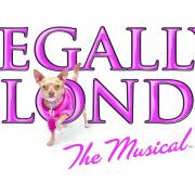 Legally Blonde The Musical.