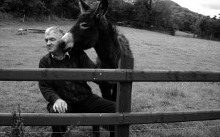 Jim Wilson, with one of his donkeys.