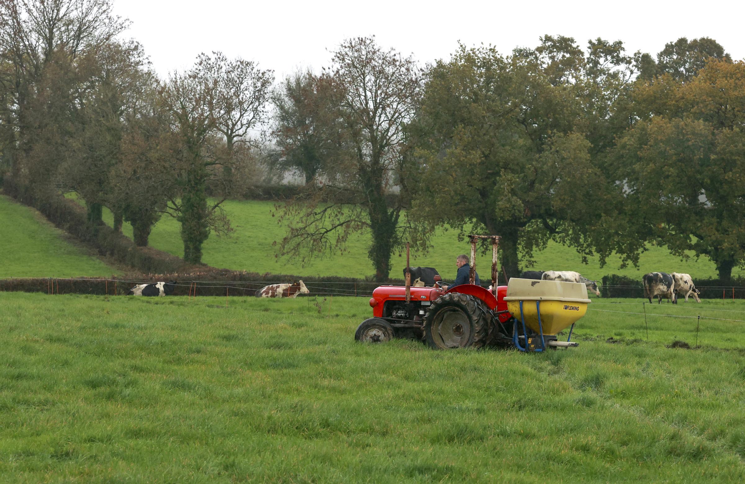 The ‘old reliables’ classic tractors still working away in Fermanagh