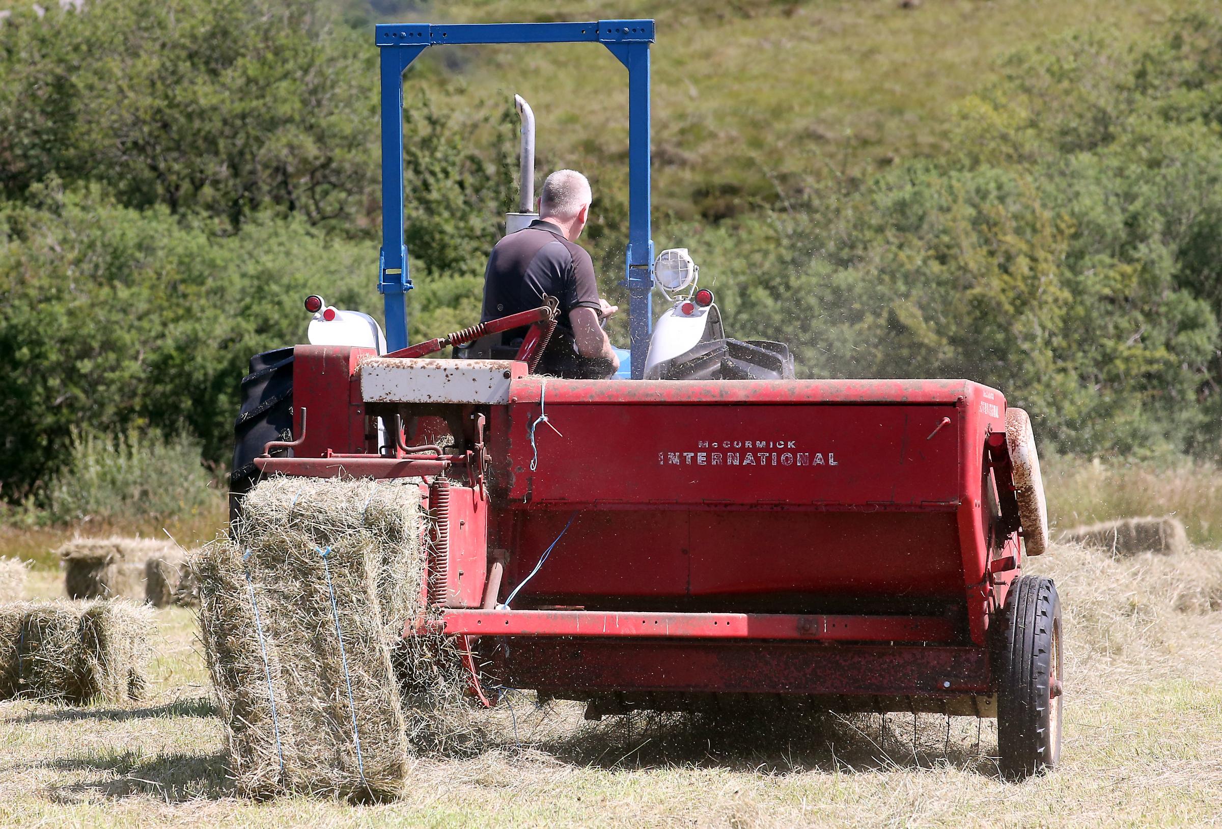 Fermanagh farmers hard at work to gather hay under a hot sun