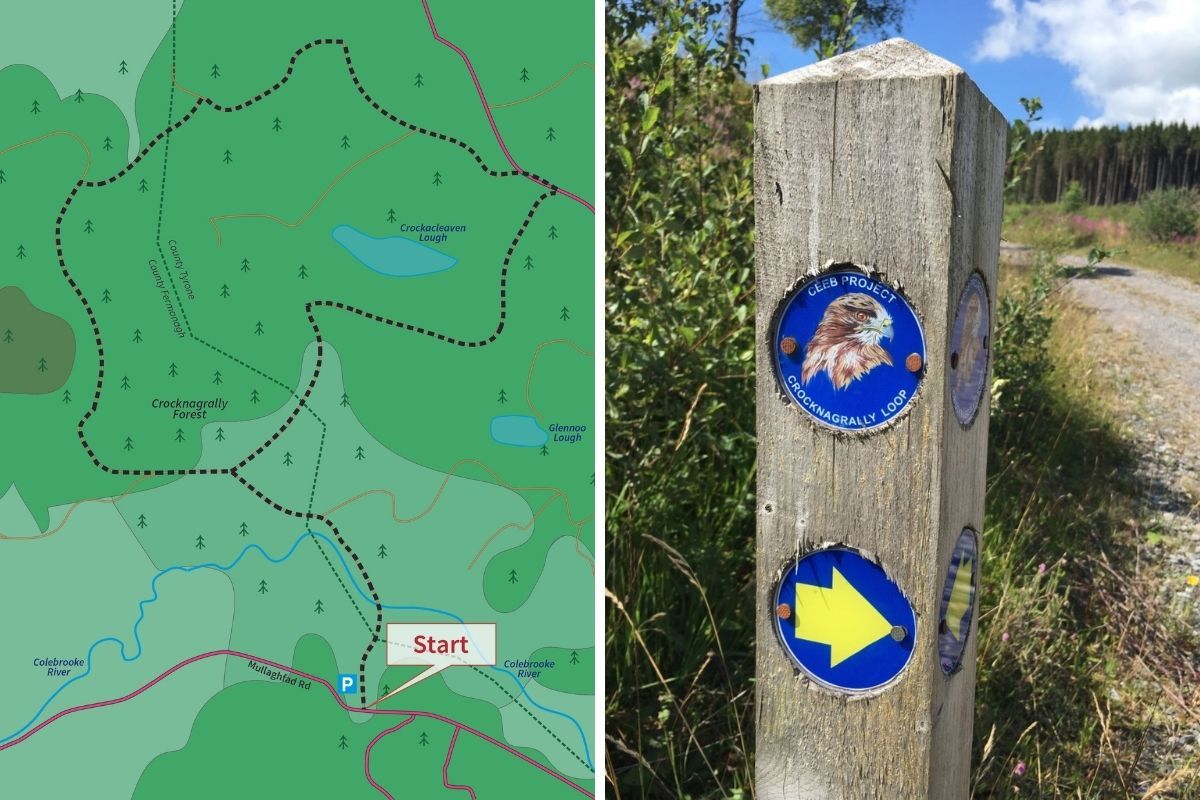 Fermanagh walks/hikes: Crocknagrally Forest