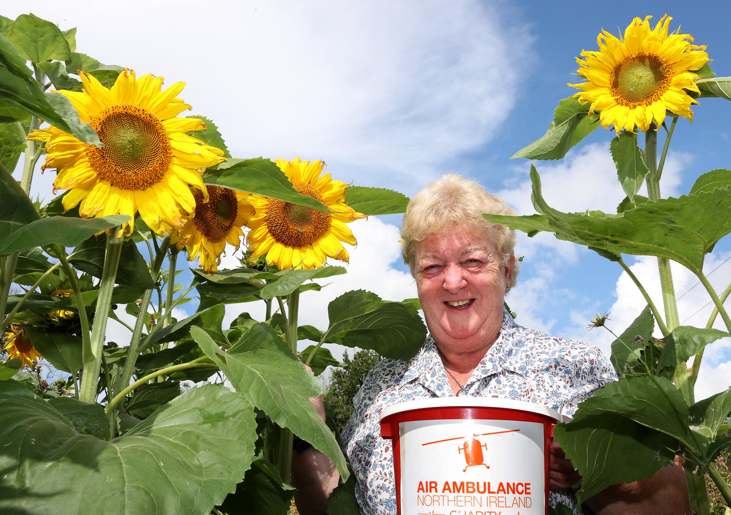Fermanagh charity sunflower field proving a huge hit