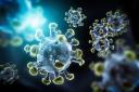 Viruses like Coronavirus and other. This virus could be dangerours or deadly as SARS.