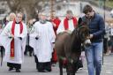 The Palm Sunday procession from the cathedral hall to St. Macartin's Cathedral, Enniskillen, led by Tom the donkey.