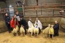 Andrew McCutheon, Trillick with his champion lightweight lambs.