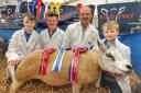 Beltex pedigree breeder, Andrew McCutcheon from Trillick, lifting the breed championship title with his very impressive ewe, Badoney Emerald at Balmoral Show.
