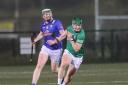 Rory Porteous clears the sliotar out of defence