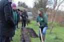Potato Day is back at the Organic Centre