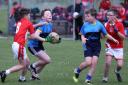 Action from the Cumann na mBunscol Mini 7s finals.