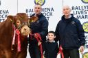 The McGeehan family from Fivemiletown, John, Shane and Joe (5) with their intermediate and supreme overall champion Slieve Sportyman at the Limousin Society’s Ballymena show and sale. He realised 13,000gns, setting a record for a Limousin bull sold