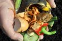 Council encourages home composting.
