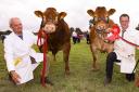 Herbie and Stephen Crawford, with their Champion Limousin Interbreed Pairs at Omagh Show.
