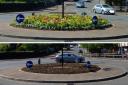 Plants were "mistakingly" planted in the DfI owned roundabout near Enniskillen Library and then subsequently removed. Photos: Anna Marie Hassard.