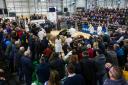 A large crowd packed out the Cattle Sale ring for the highly anticipated auction for this year's Royal Ulster Beef & Lamb Championships.