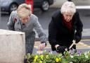 Margaret Veitch, (right), laying crosses in memory of her parents  Agnes and William Mullan.