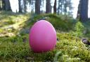 Hand-painted eggs, children and scavenger hunts all go together for a great - and very affordable - bit of quality time at Easter. Photo: Stock image.