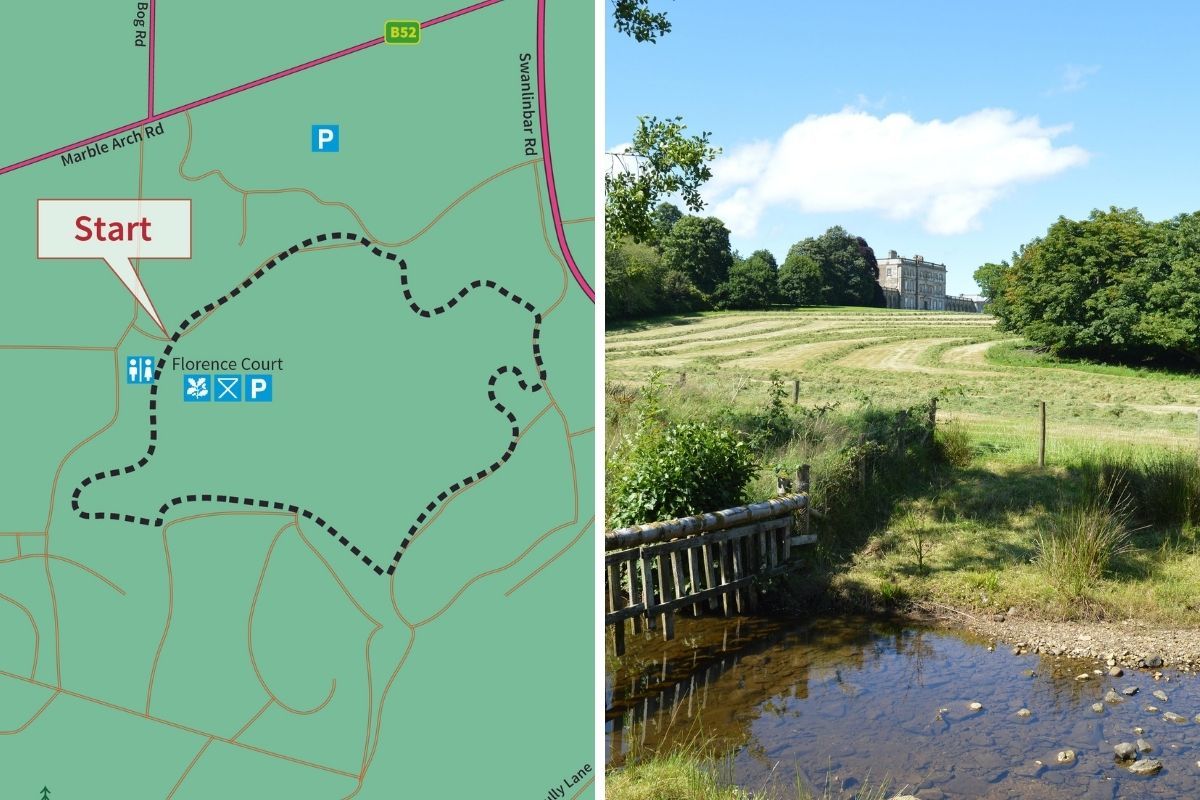 Fermanagh hikes/walks: Florence Court Forest Park - Blue Trail