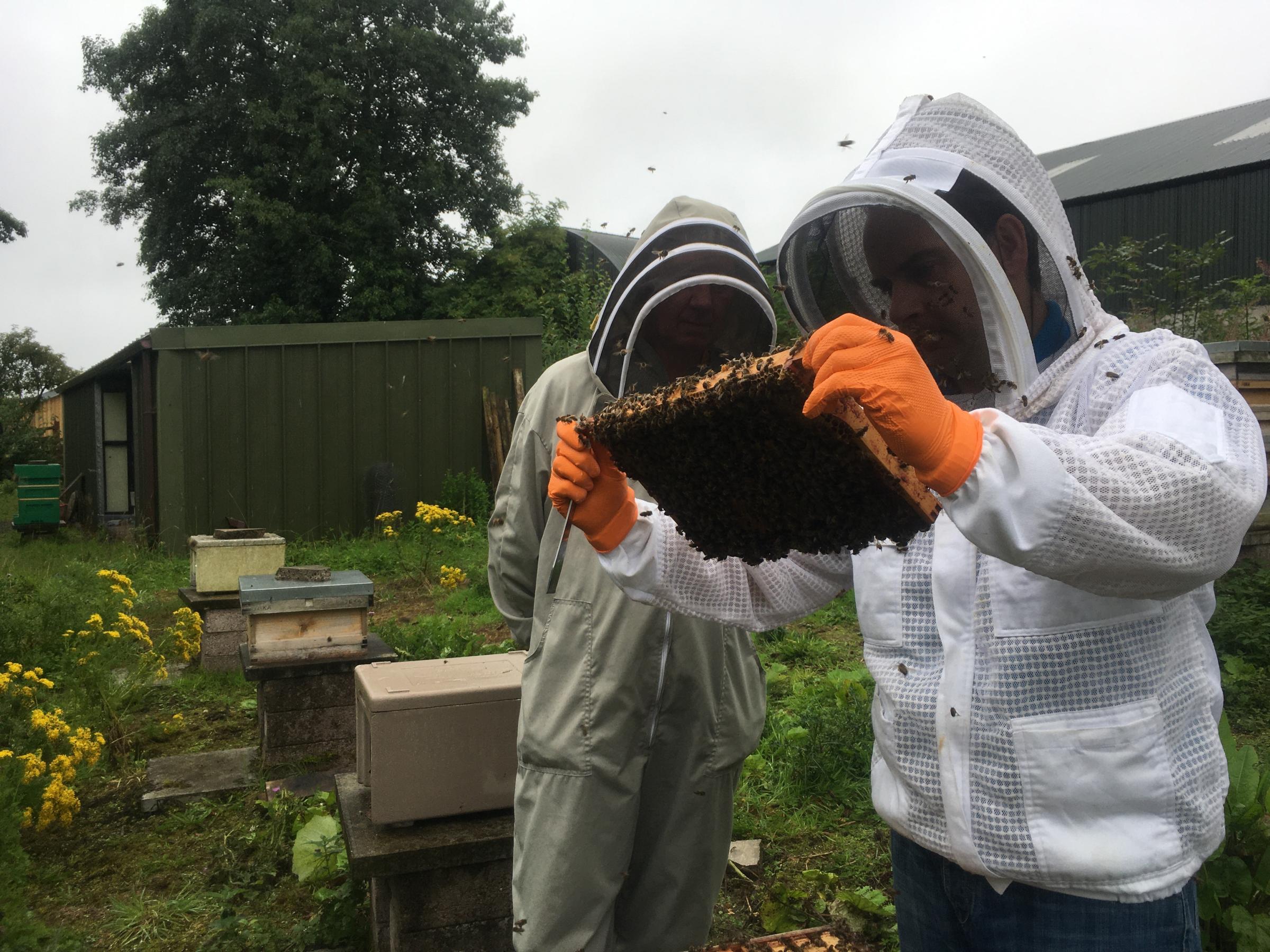 Fermanagh beekeepers say '2021 is a revelation for beekeepers'