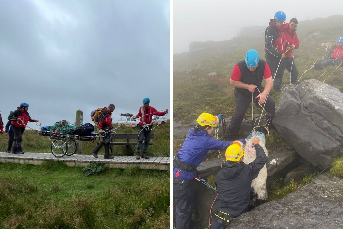 North West Mountain Rescue Team rescues sheep stuck on Cuilcagh mountain