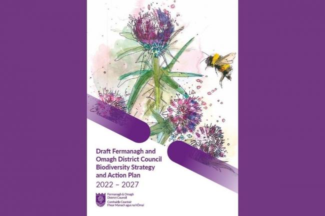 Draft Biodiversity Strategy and Action Plan consultation period open.