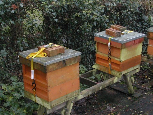 Learn about Fermanagh's varieties of delicious natural honey