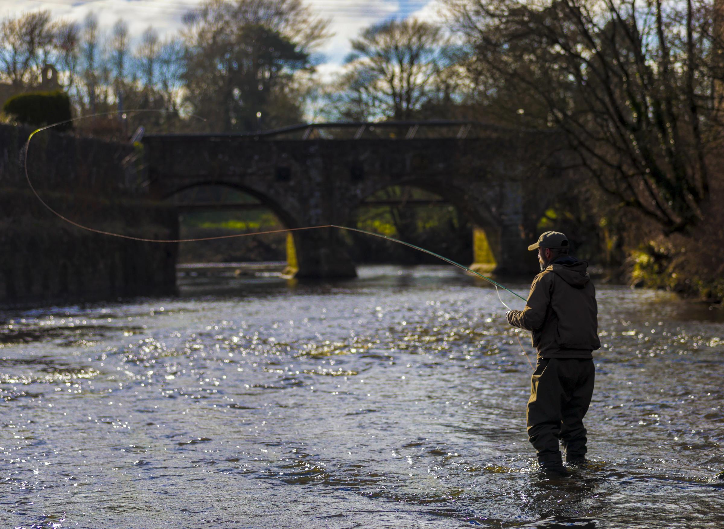 An angler fishing on The Colebrooke River.