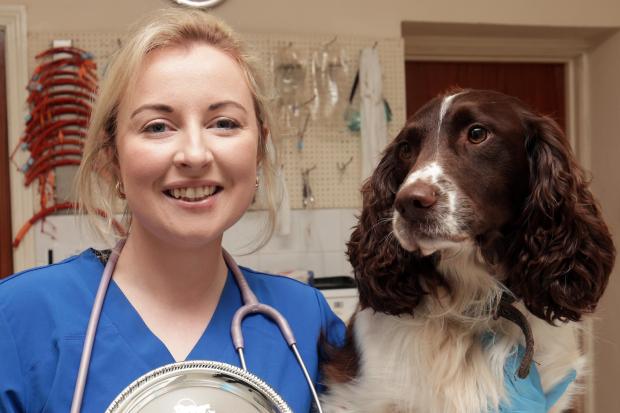Aoife Ferris, Lakeland Veterinary Services, Belleek, winner of The AVSPNI Young Vet of The Year 2022.