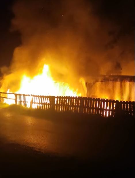A number of vintage cars were destroyed in a shed fire in the Trillick area.