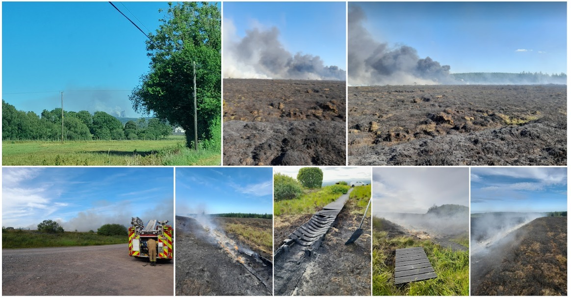 Jenkin's Forest, Brookeborough: Area damaged by fire