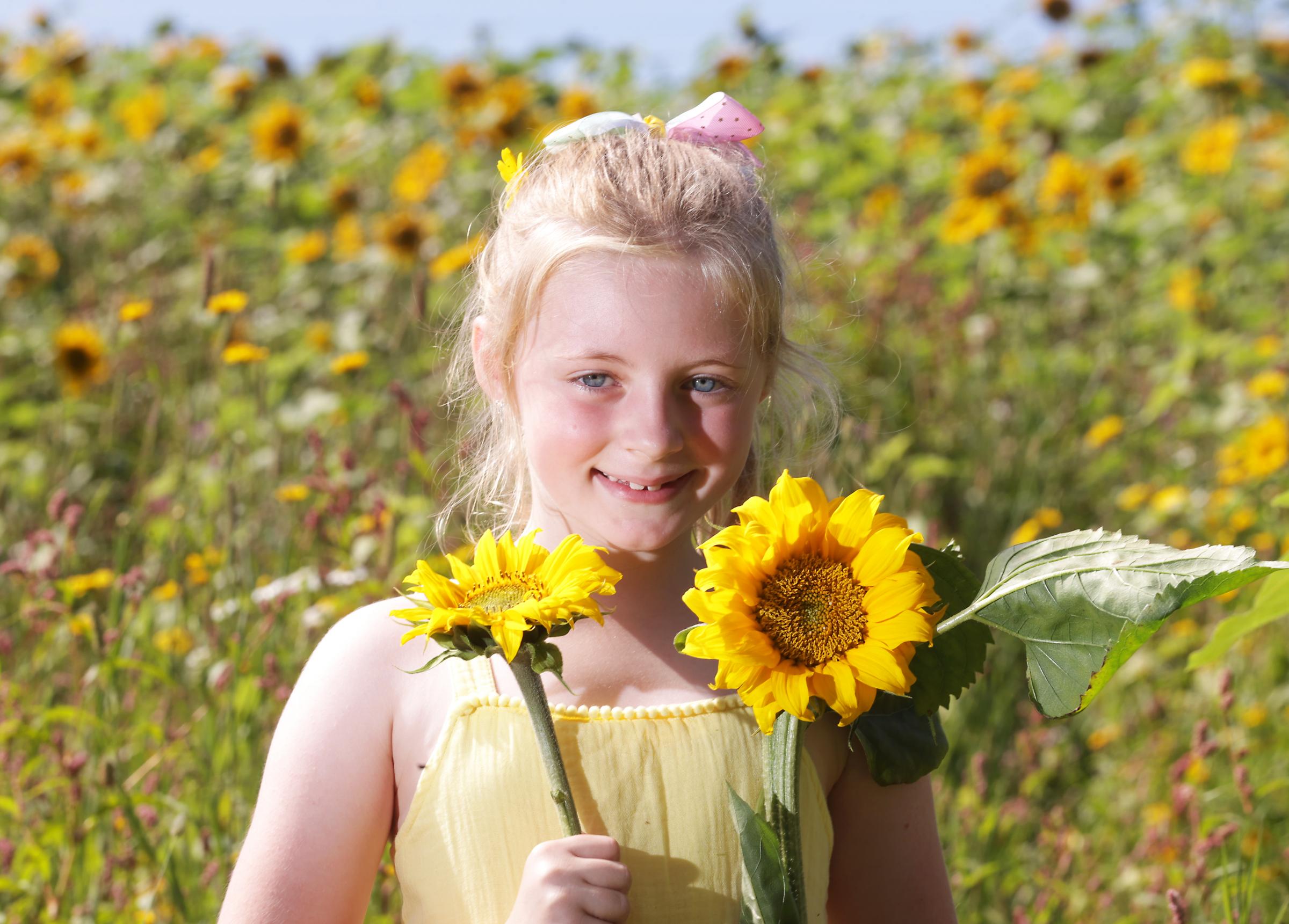 Maisie Maguire, Bellanaleck, who picked her sunflowers at Lappins Vegetable Farm near Ashwoods.