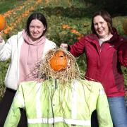 Abi and Sharon McGovern getting to pick there Pumpkin at Lappins Vegetable Farm.