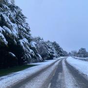 Snow at the A4 Sligo Road at Ashwoods.