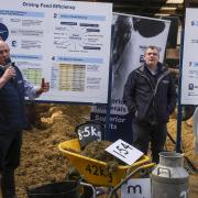 James Black and Richard Moore, Thompsons Feeds, who outlined feed efficiency in the dairy herd.