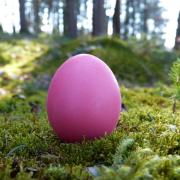 Hand-painted eggs, children and scavenger hunts all go together for a great - and very affordable - bit of quality time at Easter. Photo: Stock image.