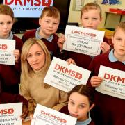 Blood cancer charity, DKMS, will hold a stem cell drive at Denamona Primary School, Fintona, this Saturday.