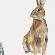 The Easter Hare Trail takes place at the Organic Centre, Rossinver.
