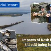 The impacts of the 2021 fish kill are still being felt.