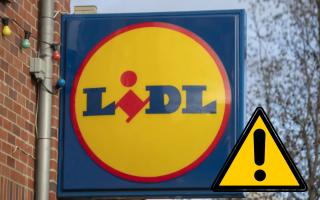 Lidl issues urgent fish recall amid Listeria outbreak.